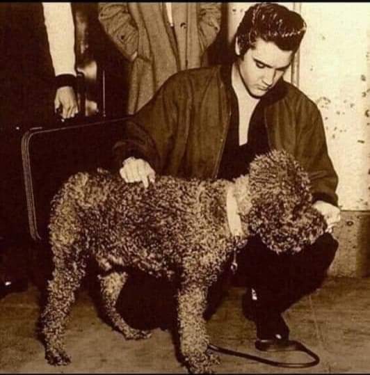 Fotografia de Elvis Presley con un perro de agua